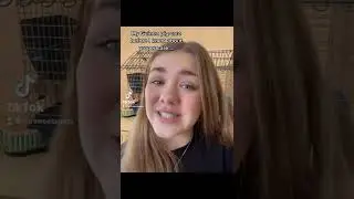 Правильный уход за морской свинкой