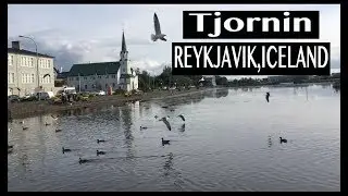 Tjornin Pond Reykjavik,Iceland-A great place for bird watchers,photographers and nature lovers