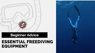 BEGINNER ADVICE: FREEDIVING EQUIPMENT ESSENTIALS