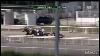 Usir Barrier Race November 2025 