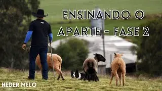 ENSINANDO O APARTE - FASE 2