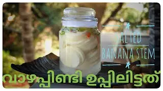 13. SALTED BANANA STEM | വാഴപ്പിണ്ടി ഉപ്പിലിട്ടത് | vazhapindi uppilittathu