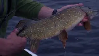 Take Tackle  stripping basket