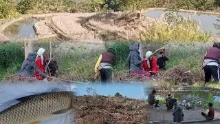 Frist day of new field cutting 2026 @Aziba vlogs 🌲🌲