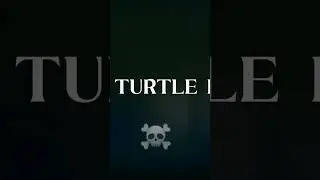 Floating turtle has woken up #bloxfruit #roblox #edit