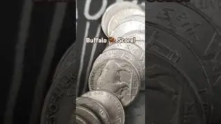Buffalo 🦬 Score! Almost 100 years old! #coinrollhunting #nickelhunt #buffalonickel #subscribe
