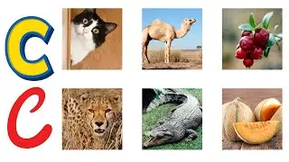 Letter C Phonics Song  C Words for Kids Cat, Camel, Cheetah & More! | Fun Rhymes & Learning