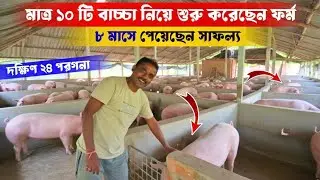 মাত্র 10 টি শূকর বাচ্চা নিয়ে শুরু করেছিলেন 8 মাস আগে ফার্ম, পেয়েছেন সাফল্য/pig farm