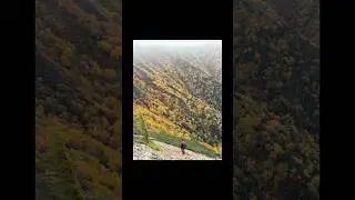 08 oct 2025 / kisaku shindo trail｜喜作新道｜video, photography #hiking #紅葉