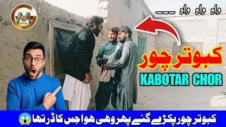 Kabootar Chor Funny Video Clip 2023 |GM Official #gmofficial #kabootarchor #chorfunnyclip