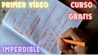 Curso gratuito para criar pollo de engorde.. con referencia para comenzar a criar 100 pollos
