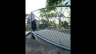 #3🍗THURS Curren Caples