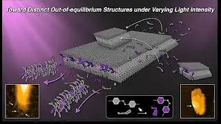 Light-Responsive Molecules Self-Assemble into Dynamic Structures