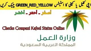 How To Check  Your Compani And Kafeel Status Green Red Yellow I Apne Kafeel Ka Status Check Karen