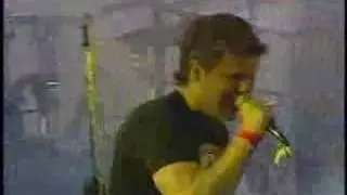 M&aacute;s-One Eyed Chicken (en vivo)