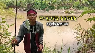 Target Sirip Merah Strikenya Buntut Kuning #Shorts