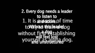 Dog Obedience Training: Become The Alpha Dog