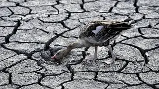 The 10 Worst Droughts in the World | The Culprits of Famine