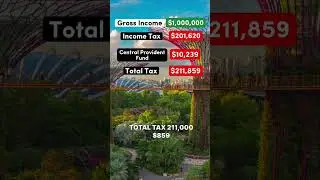 Жизнь на 1 000 000 долларов после уплаты налогов в Сингапуре #сингапур #демократ #республиканец #...