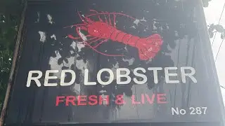 Restaurant  Red Lobster 🦞 Hikkaduwa😍Srilanka🌴Ресторан Рэд Лобстер в Хиккадува