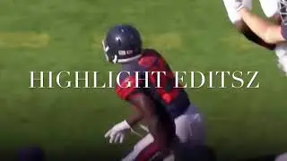 Tarik Cohen Chicago Bears Highlights🐻🏈