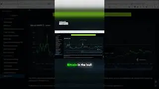 Understanding Bitcoin Valuation with MVRVZ Score #stocks #leveragetrader #cryptocurrency
