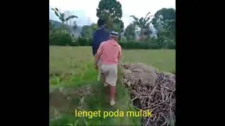 LAGU PAKPAK PALING SEDIH KERRI CINARI MI ALE NANGE