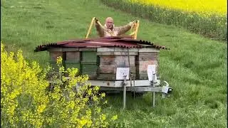 Gefilmt von Stefan Schnackertz TV