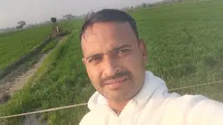 हमारे हरे-भरे खेत और Tubewell की खूबसूरती | गाँव की असली ज़िंदगी 🌾) ||watch till the end ||