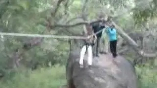 high rope traverse