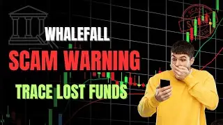 whalefall Review: SCAM Investigation | Trace Your Lost Funds | 2025 Investor Alert