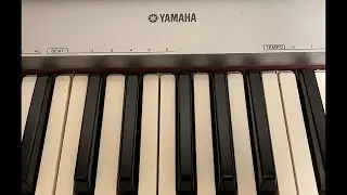 Piano Hanon and Scales