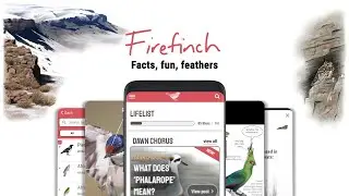 Preview: Firefinch Birding App
