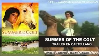 Summer Of The Colt (1991)