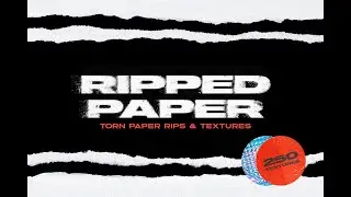 Ripped Torn Paper Transparent Rips Texture Bundle Graphic Download
