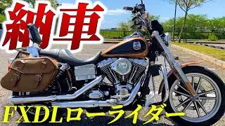【ハーレー】FXDLローライダーを友達が納車したが排気音が異次元すぎた【ハーレーダビッドソン】【105周年】