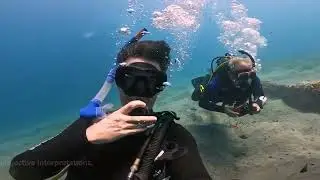 OMG !! Ocean Color's