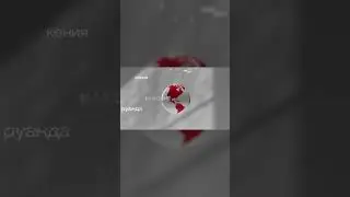 Это &mdash; чашка для кофе от Camera Obscura.