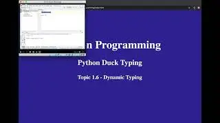 Topic 1 - Duck Typing