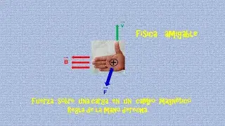 FUERZA SOBRE UNA CARGA EN UN CAMPO MAGNETICO - REGLA MANO DERECHA
