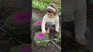 HOW TO GET YOUR KIDS TO EAT MORE VEGETABLES 🥦 #vegetablegarden  #kidsrecipe #kidsnutrition #kids