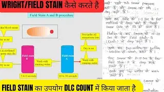 wright stain in haematology | field stain procedure | romanowsky stain in haematology