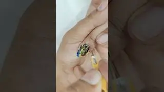 Holi special nail art design 😍 #nailart #nails #youtubeshorts #holi #shorts #shortsfeed