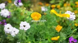 Het is jouw wereld (natuur)