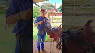 Ter um animal manso &eacute; a melhor  forma de fazer um bom passeio e com uma sela completa fica melhor