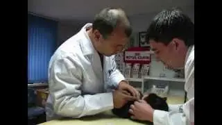 О деятельности Движения 