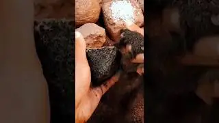 charcoal dry floor crumble 🎉#satisfying #popular #asmrsounds #relaxingsound #asmrcommunity #charcoal