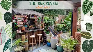 TikI Bar Reveal 2023! 🌺🌴☀️🦋🐚