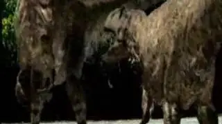 dinosaur fun
