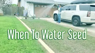 Should You Water Grass Seed In The Morning Or Evening